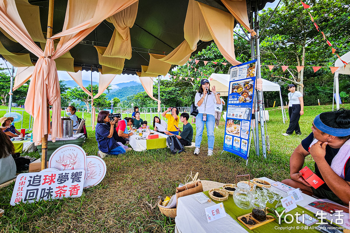 台東鹿野-台東紅烏龍封茶體驗-追球夢響-回味茶香