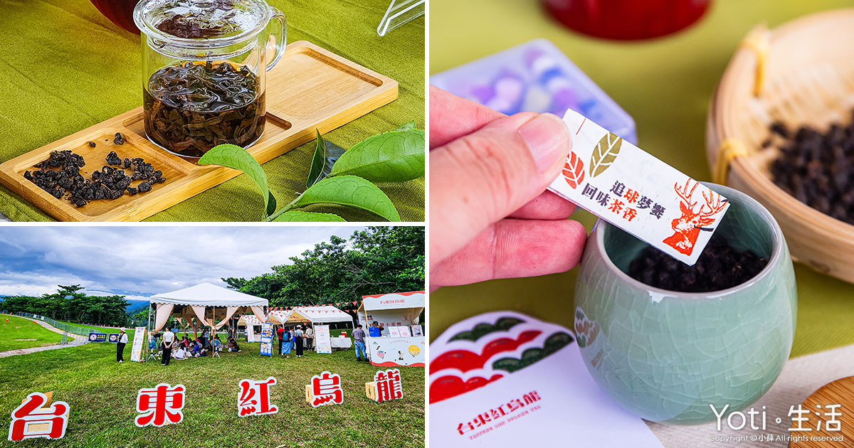 台東鹿野-台東紅烏龍封茶體驗-追球夢響-回味茶香