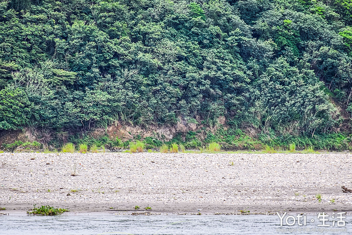 海潮洄瀾自然人文之旅-愛戀洄游之時，與小燕鷗的相遇-水鳥溼地保護區