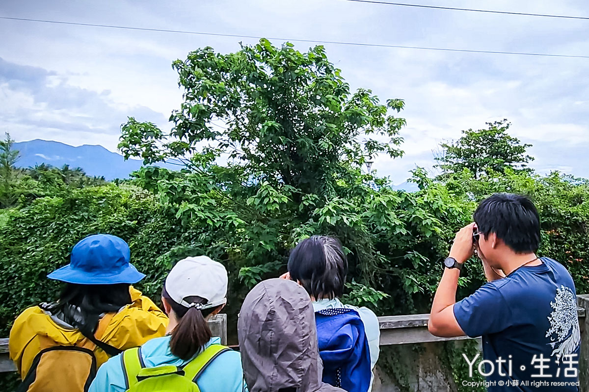 海潮洄瀾自然人文之旅-愛戀洄游之時，與小燕鷗的相遇-水鳥溼地保護區