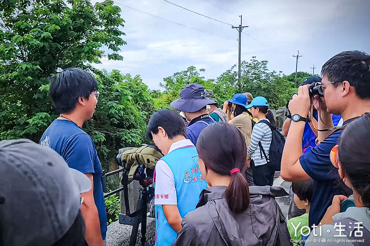 海潮洄瀾自然人文之旅-愛戀洄游之時，與小燕鷗的相遇 feat. 吉安鄉長游淑貞