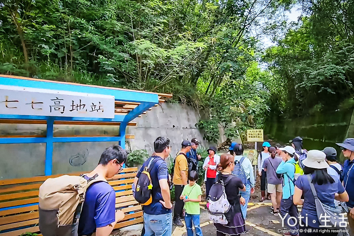 海潮洄瀾自然人文之旅-愛戀洄游之時，與小燕鷗的相遇-七七高地