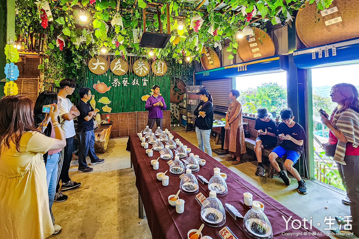 台東太麻里-金針山休閒農業區-大友茶園