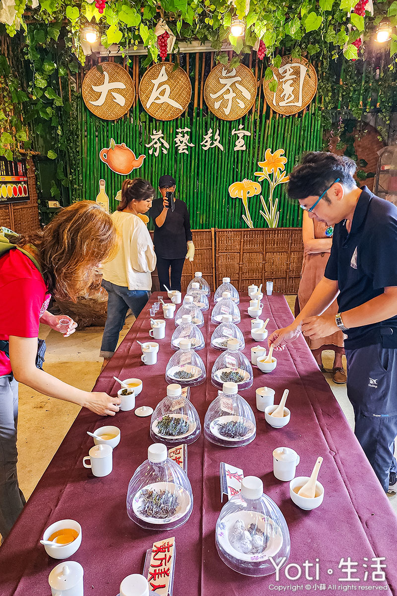 台東太麻里-金針山休閒農業區-大友茶園