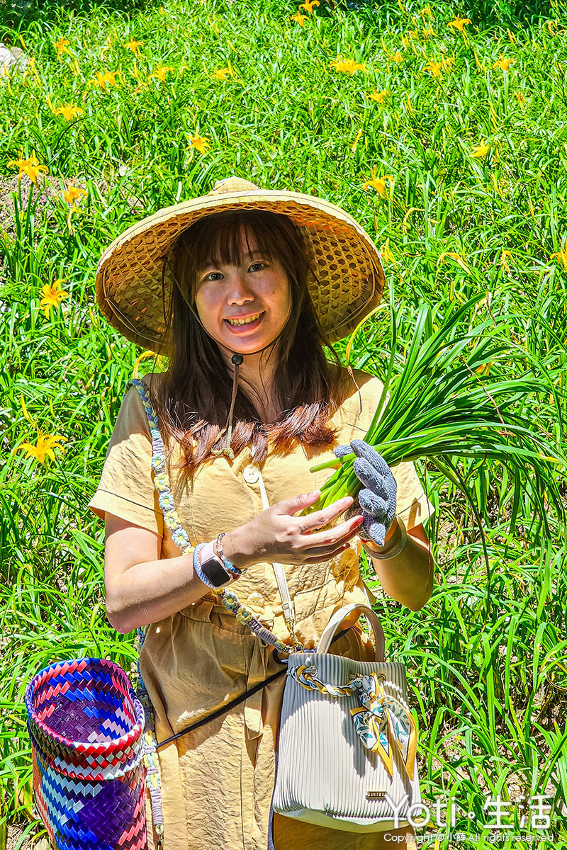 台東太麻里-金針山休閒農業區-青山農場