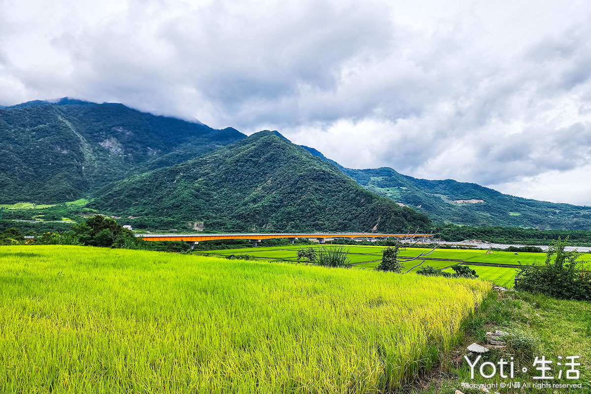[台東海端] 初來部落 | 跟著布農去農耕，祭儀故事×農事體驗