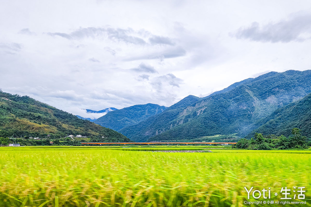 [台東海端] 初來部落 | 跟著布農去農耕，祭儀故事×農事體驗