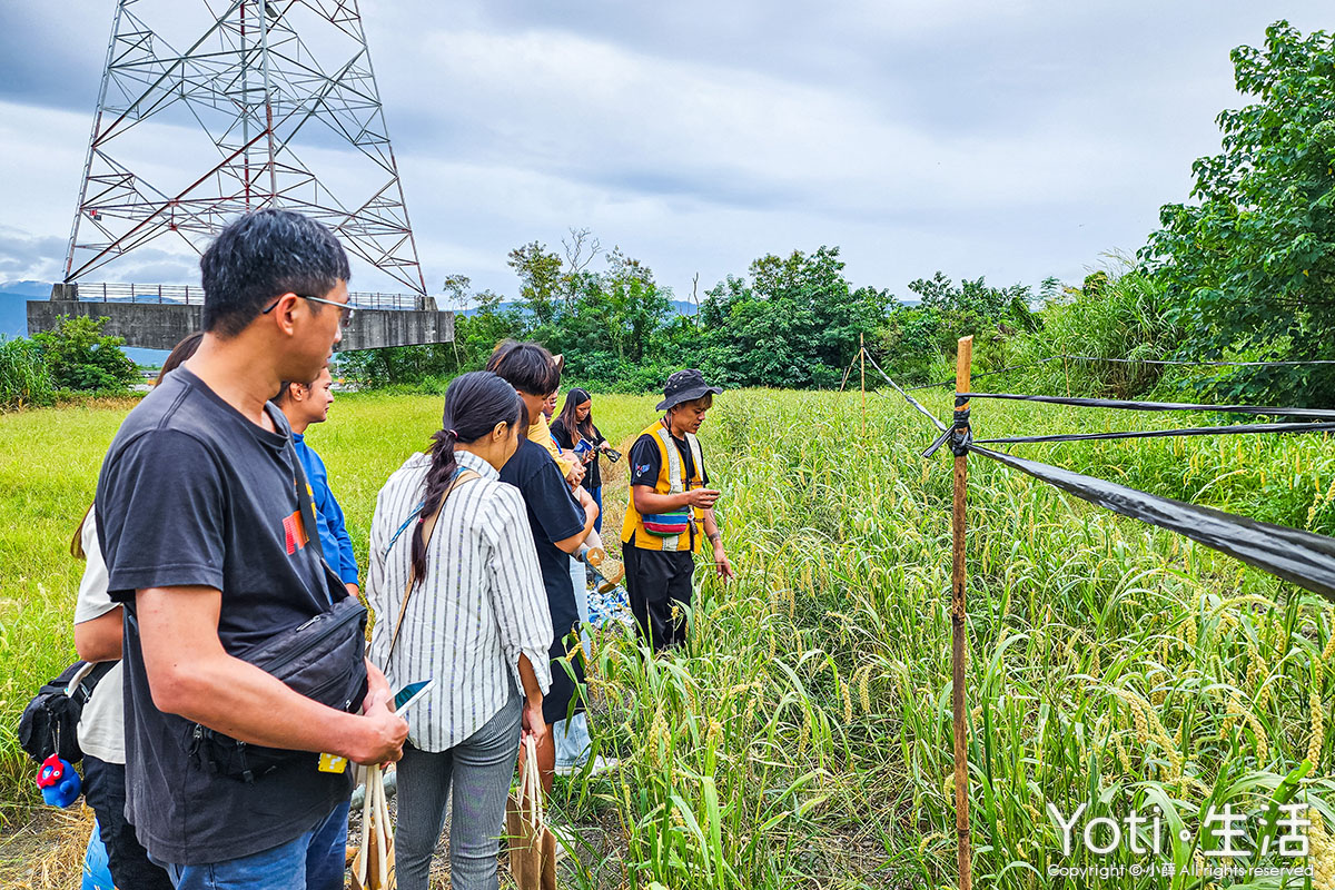 [台東海端] 初來部落 | 跟著布農去農耕，祭儀故事×農事體驗
