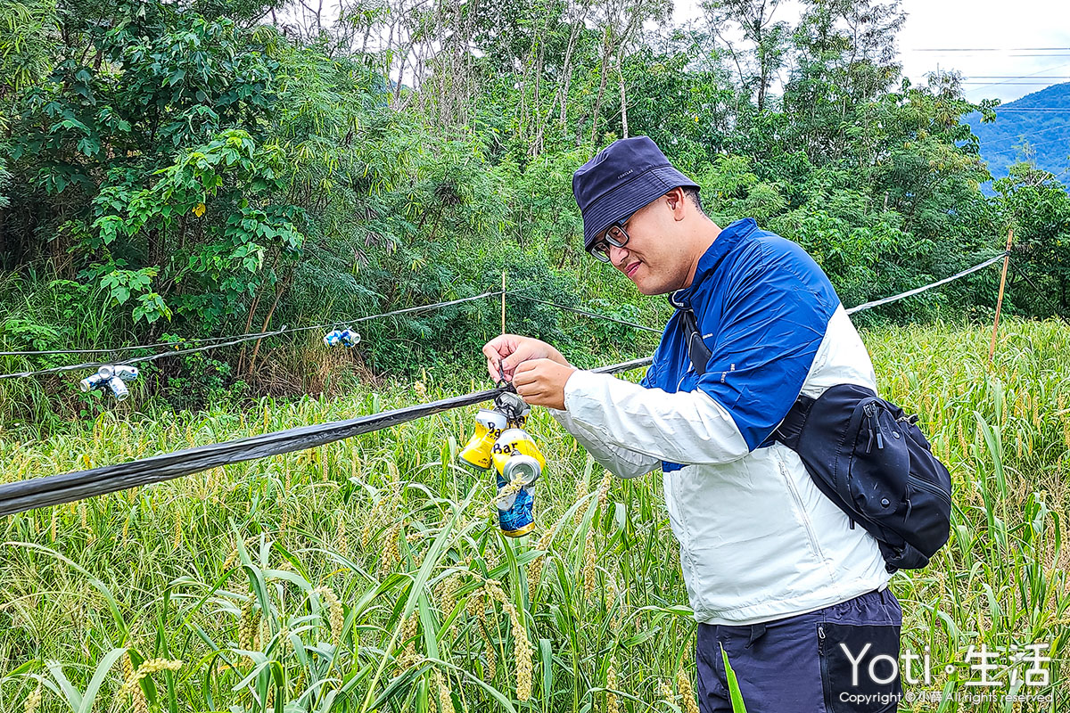 [台東海端] 初來部落 | 跟著布農去農耕，祭儀故事×農事體驗