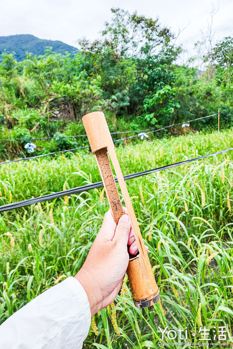 [台東海端] 初來部落 | 跟著布農去農耕，祭儀故事×農事體驗