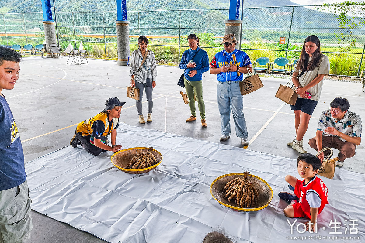 [台東海端] 初來部落 | 跟著布農去農耕，祭儀故事×農事體驗