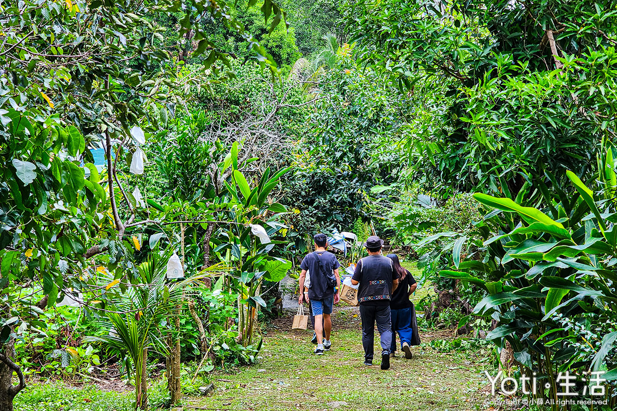 [台東海端] 加拿部落 | 來場月桃森呼吸，親手編織布農智慧