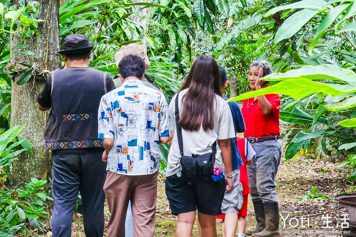 [台東海端] 加拿部落 | 來場月桃森呼吸，親手編織布農智慧