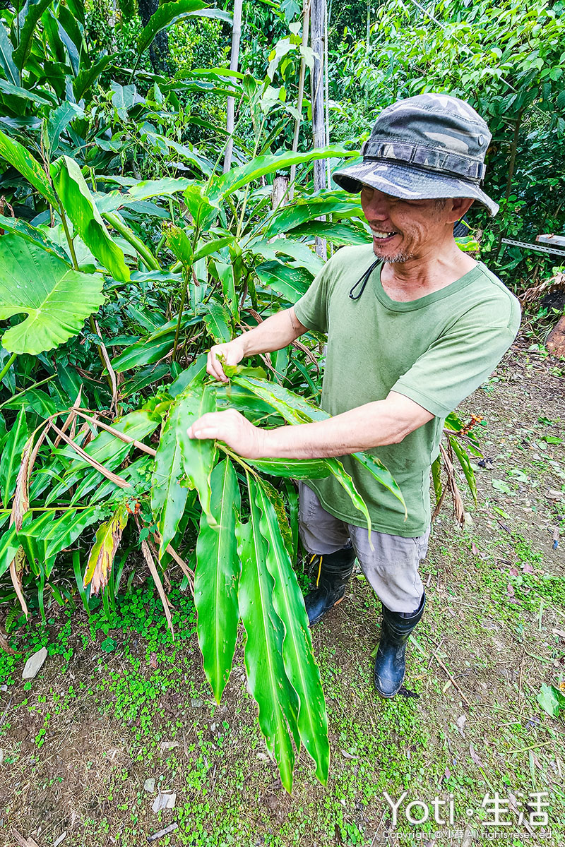 [台東海端] 加拿部落 | 來場月桃森呼吸，親手編織布農智慧