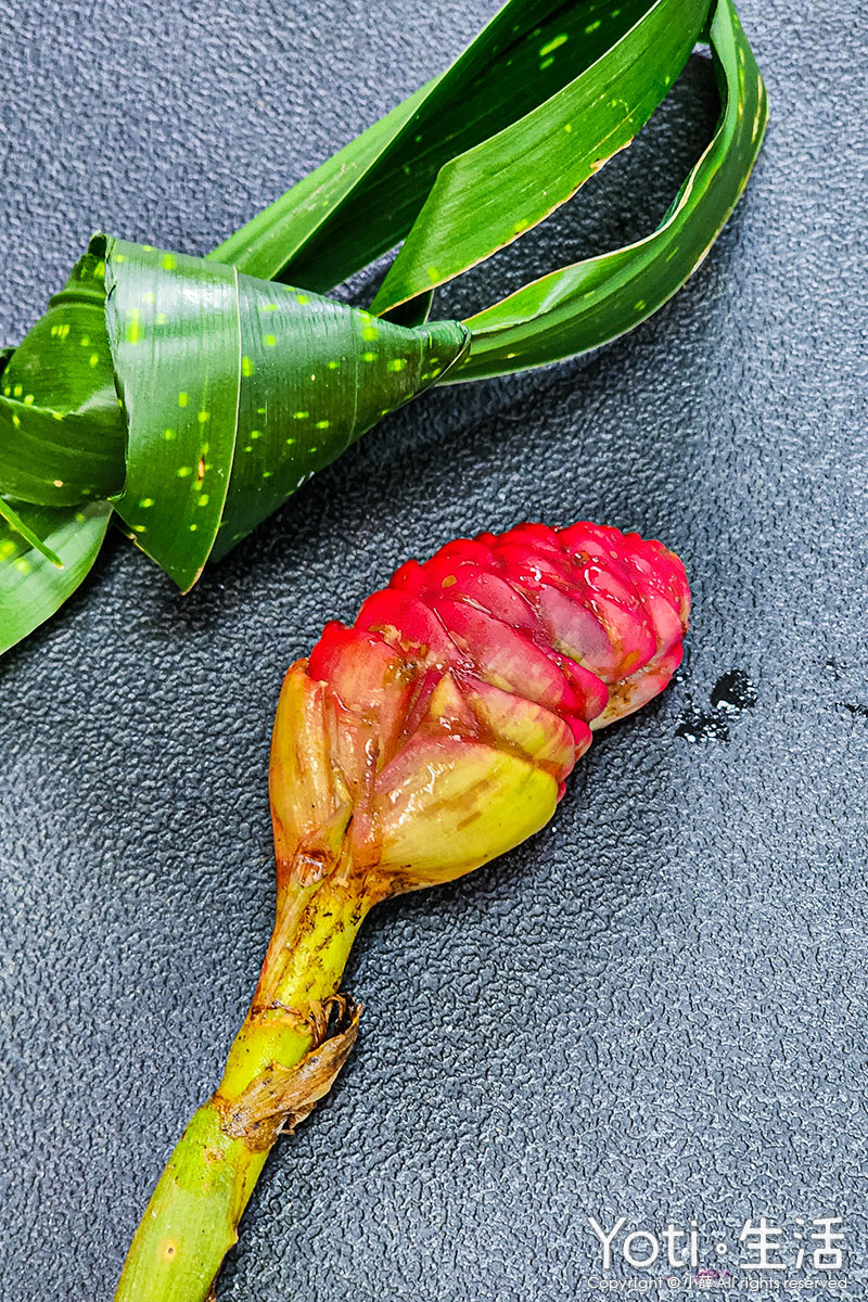 [台東海端] 加拿部落 | 來場月桃森呼吸，親手編織布農智慧