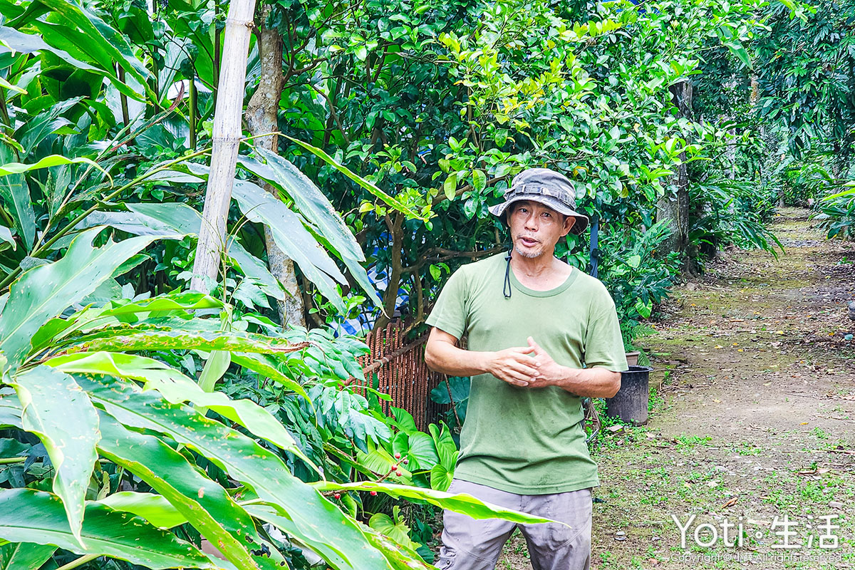 [台東海端] 加拿部落 | 來場月桃森呼吸，親手編織布農智慧