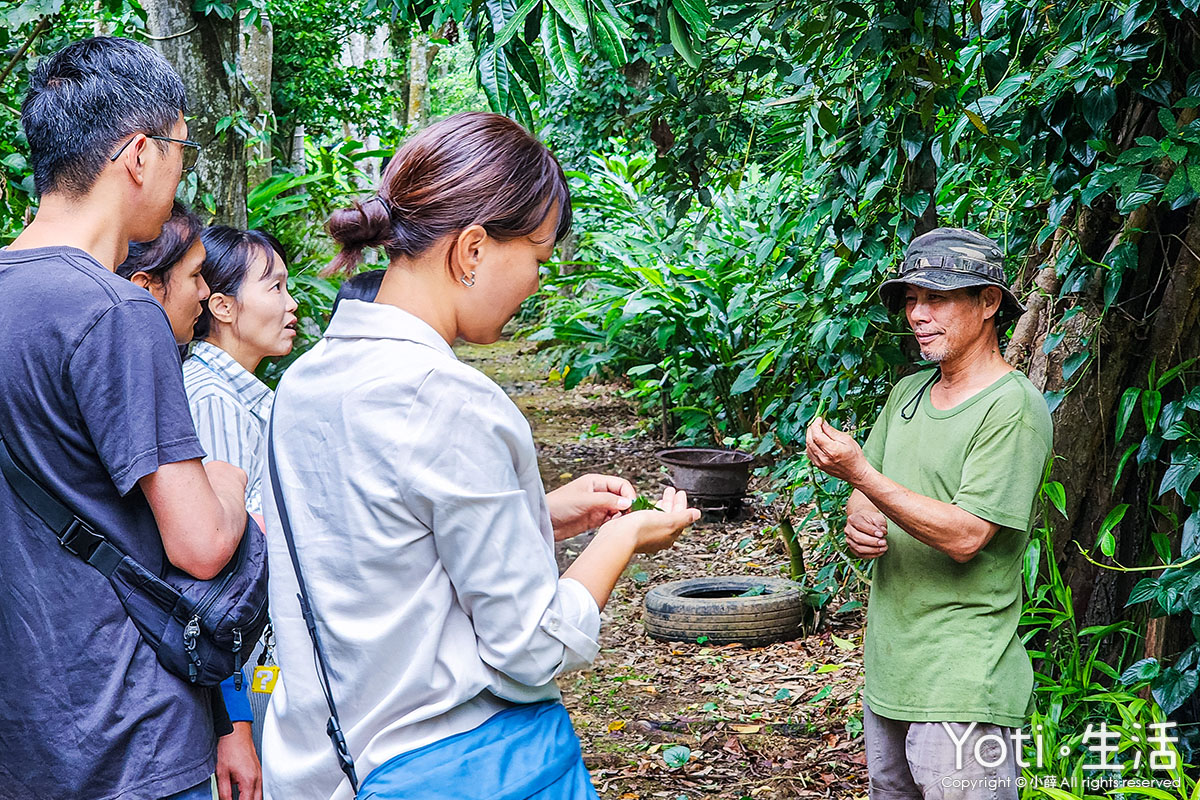 [台東海端] 加拿部落 | 來場月桃森呼吸，親手編織布農智慧