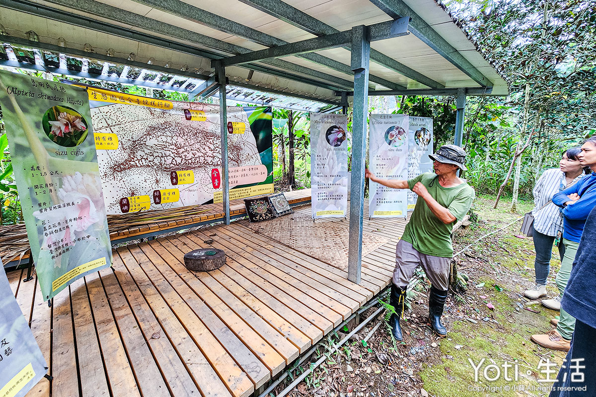 [台東海端] 加拿部落 | 來場月桃森呼吸，親手編織布農智慧