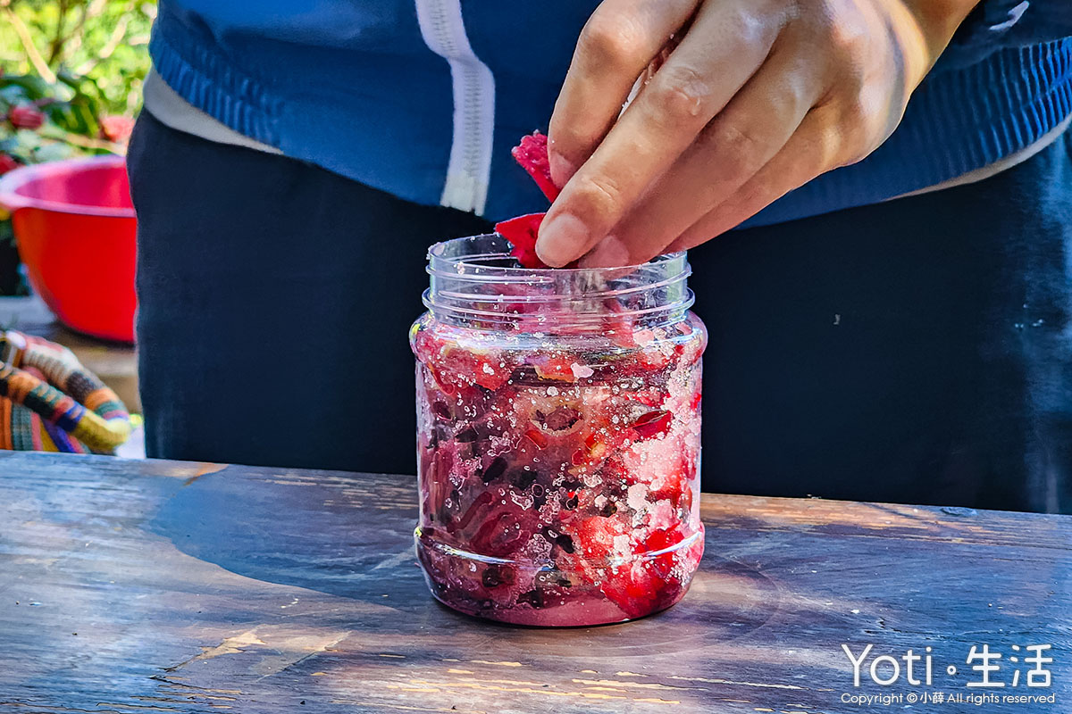 [台東金峰] 嘉蘭部落2日遊 | 部落文化、山林、食農DIY體驗