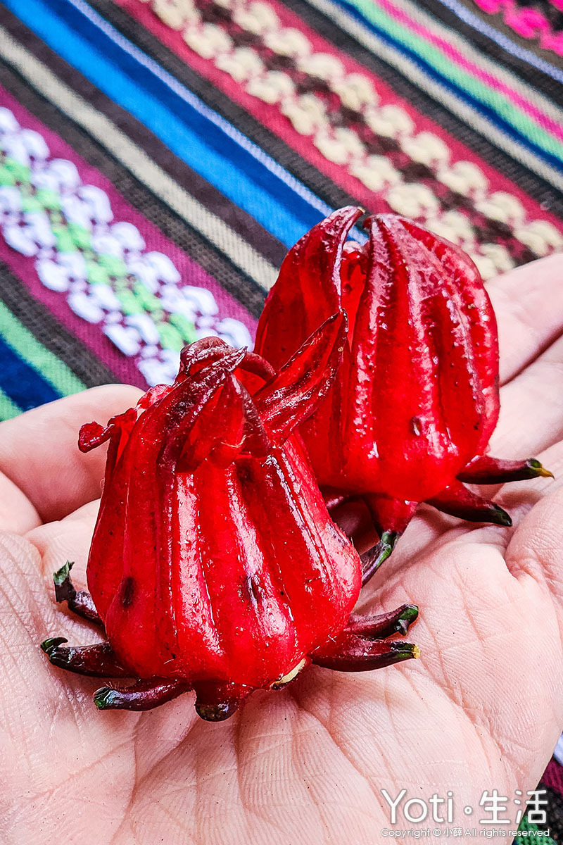 [台東金峰] 嘉蘭部落2日遊 | 部落文化、山林、食農DIY體驗