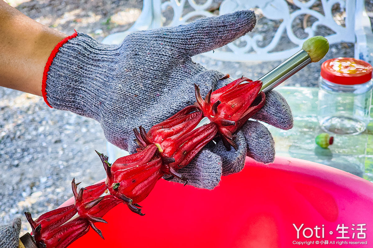 [台東金峰] 嘉蘭部落2日遊 | 部落文化、山林、食農DIY體驗