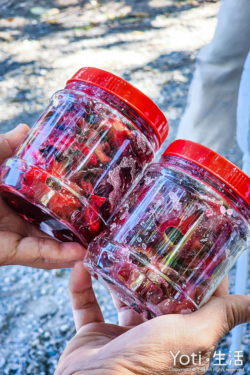 [台東金峰] 嘉蘭部落2日遊 | 部落文化、山林、食農DIY體驗