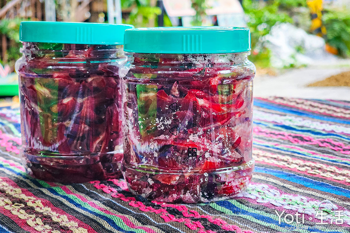 [台東金峰] 嘉蘭部落2日遊 | 部落文化、山林、食農DIY體驗