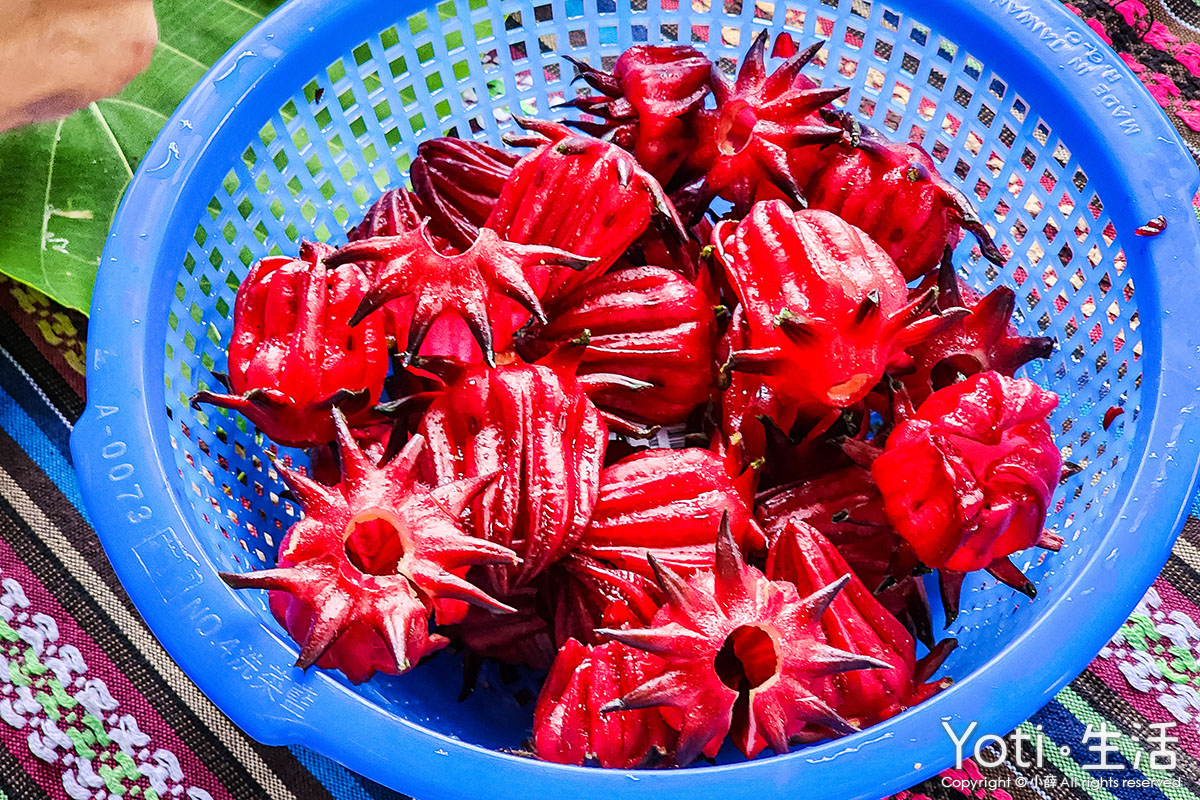[台東金峰] 嘉蘭部落2日遊 | 部落文化、山林、食農DIY體驗