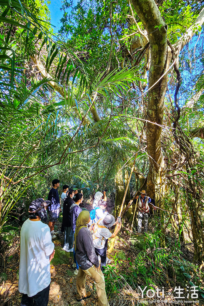 [台東金峰] 嘉蘭部落2日遊 | 部落文化、山林、食農DIY體驗