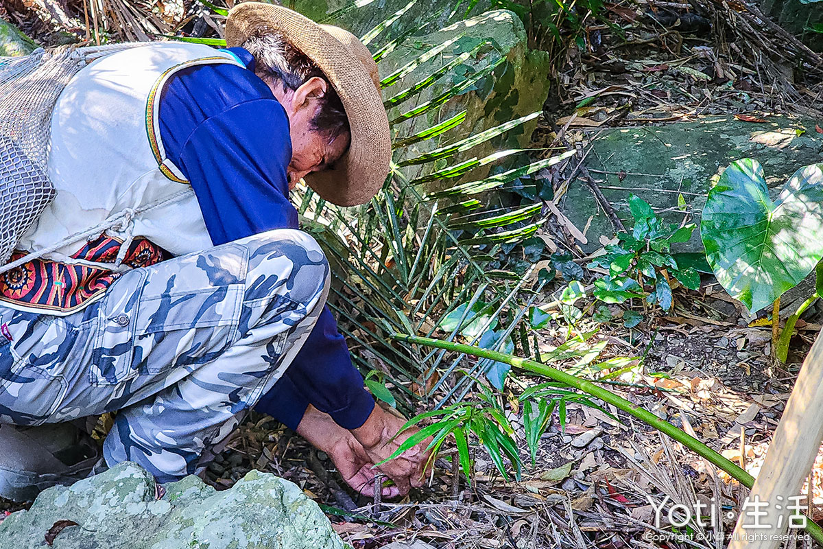 [台東金峰] 嘉蘭部落2日遊 | 部落文化、山林、食農DIY體驗