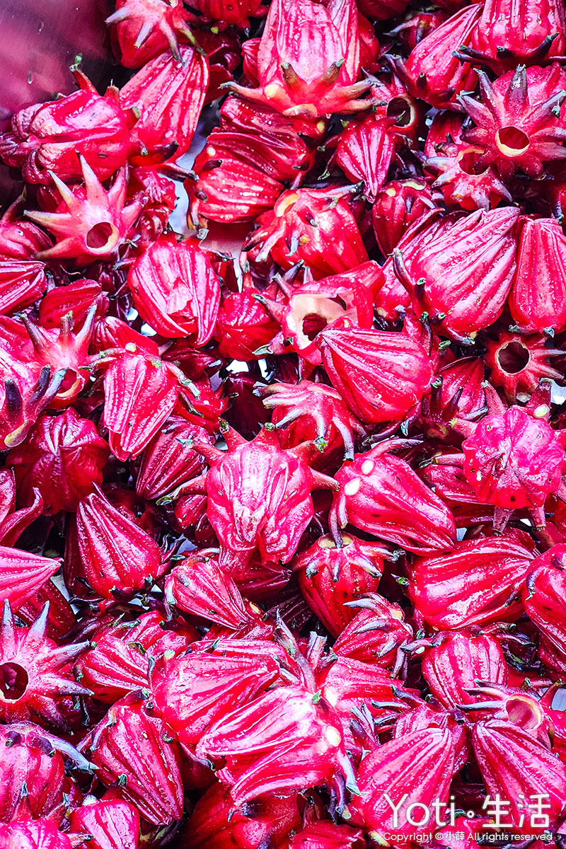 [台東金峰] 嘉蘭部落2日遊 | 部落文化、山林、食農DIY體驗